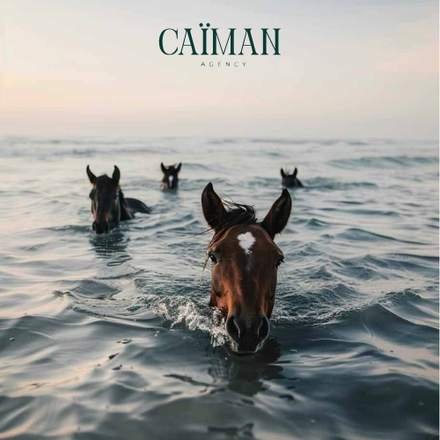Caïman Agency